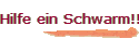 Hilfe ein Schwarm!!!