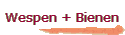 Wespen + Bienen