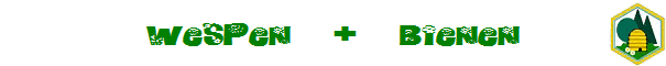 wespen + Bienen